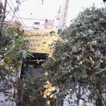رستوران گلشن