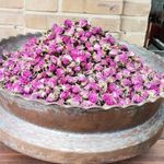 گلاب بهمنی