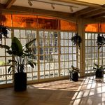 مؤسسه یوگا آناندا (بانوان و آقایان)