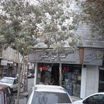 گالری فرش نگین