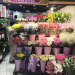 گل فروشی هوشنگ
