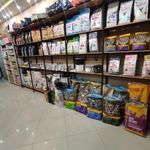 کلینیک دامپزشکی تاینی پت