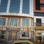 دامپزشک متخصص گربه