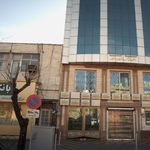 دامپزشک متخصص گربه