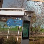 بوستان صالحی