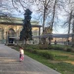 کاخ موزه‌ سبز