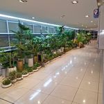 تشریفات هانی شعبه هایپر استار