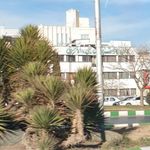 کانون کارشناسان رسمی دادگستری