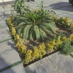 خدمات کشاورزی ابوالقاسم جمالی