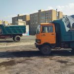 سجاد محمودی