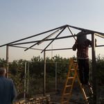 محمد اقوامی دلویی