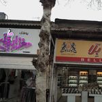شیک وپیک رودسر