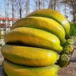 بوستان شهرک بهجت