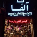 کیف و کفش پارمیدا