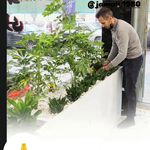 خدمات کشاورزی ابوالقاسم جمالی