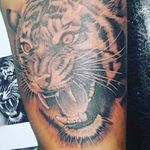 خدمات تتو بدن