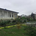 کاخ چای خوران