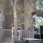 نوشین دادبین