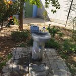 بوستان مادر