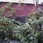 تهیزات عکاسی خانه عکاسان