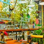 کافی شاپ رافا