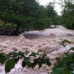 رودخانه چالوس