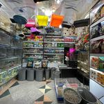 پرنده فروشی مرغ سحر