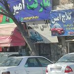 مارکت رز