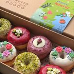 دوناتو نیاوران