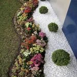 شرکت سمپاشی شیمی گستر
