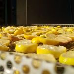 سبزیجات خشک بهار بانو