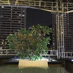 کافه نان استاپ (شب گردی)