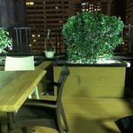 کافه نان استاپ (شب گردی)