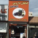 عطاری حاج محمد
