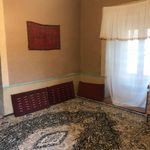 بوم گردی نارچینه