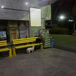 دانشگاه علامه طباطبائی