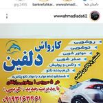 کارواش دلفین