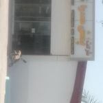 شرکت پخش صدرا