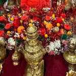 کافه گل الینا