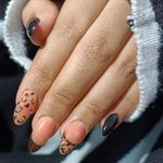 کاشت ناخن عسل