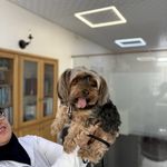 درمانگاه دامپزشکی های پت