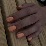 آموزش و خدمات تخصصی ناخن زینو