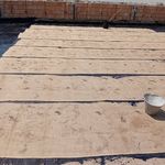 محمد رحیمی شایگان