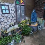 کافه و سفره خانه دلف