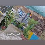 کافه و سفره خانه دلف