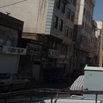 نهال چوب