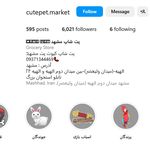 پت شاپ کیوت پت