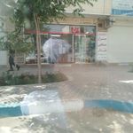 مرغ و ماهی قائم