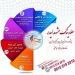 هلدینگ مشهدلیدر