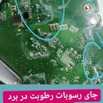 کلبه دیجیتال دارکوب